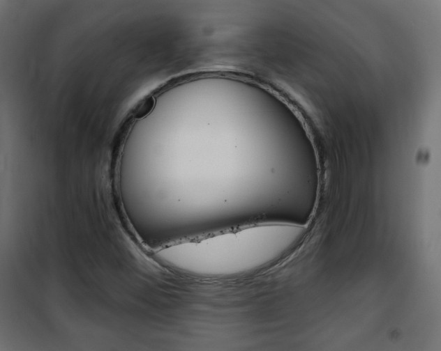 X0000101391452200807070953