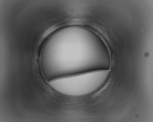 X0000101391453200807070953