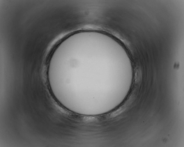 X0000101391454200807070953