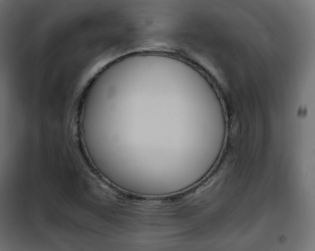 X0000101391455200807070953
