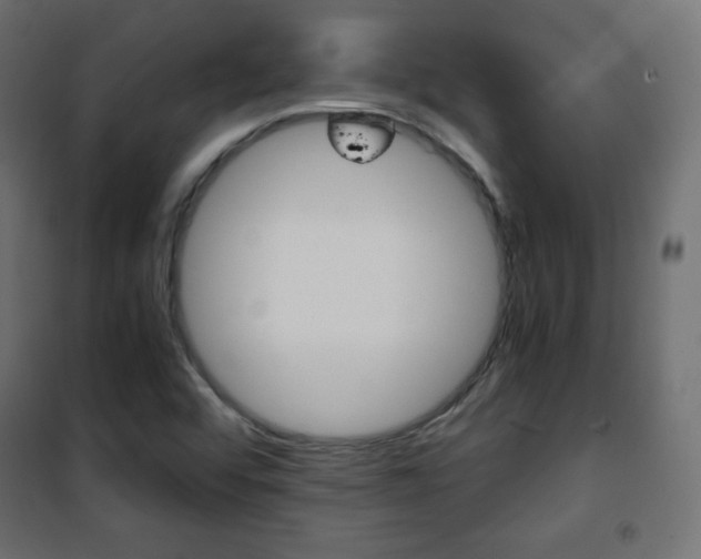 X0000101391456200807070953