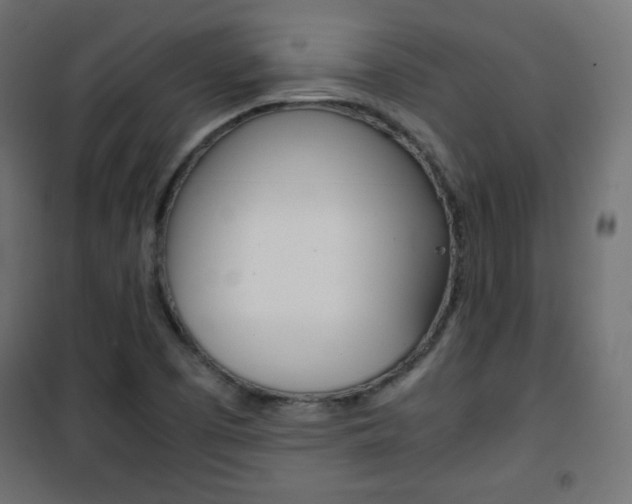 X0000101391457200807070953