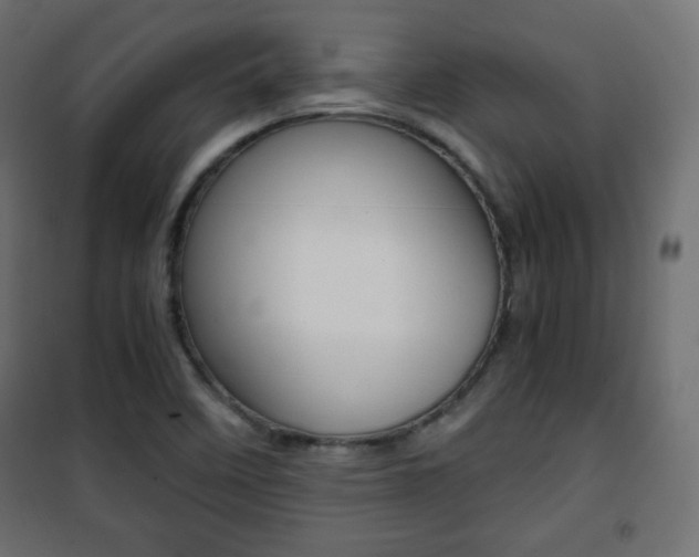 X0000101391458200807070953