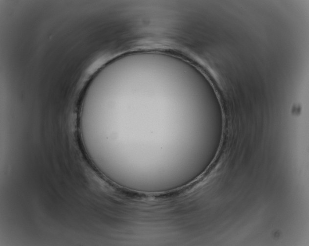 X0000101391459200807070953