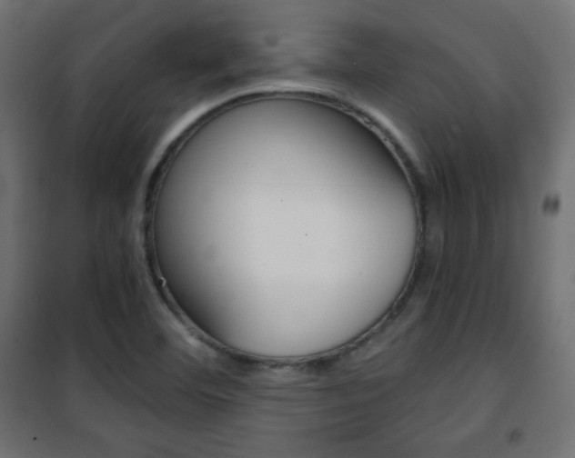 X0000101391460200807070953