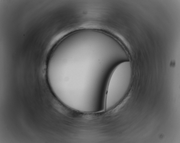 X0000101391461200807070953