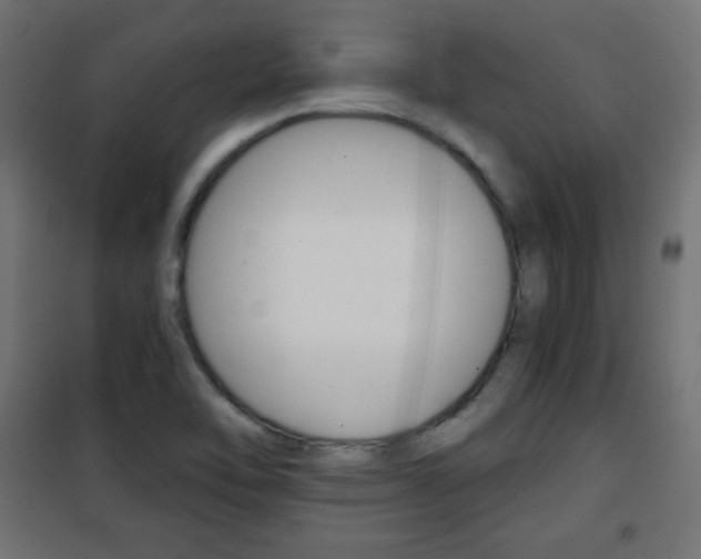 X0000101391462200807070953