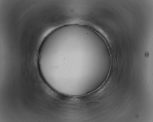 X0000101391463200807070953
