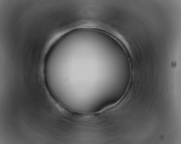 X0000101391464200807070953