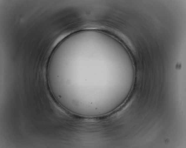 X0000101391465200807070953