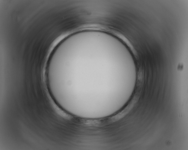 X0000101391466200807070953