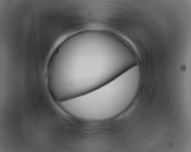 X0000101391467200807070953