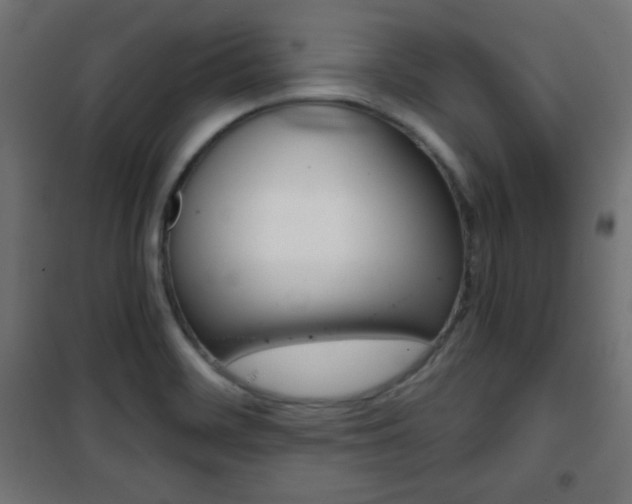X0000101391468200807070953