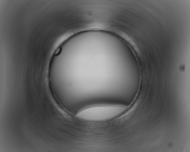 X0000101391469200807070953