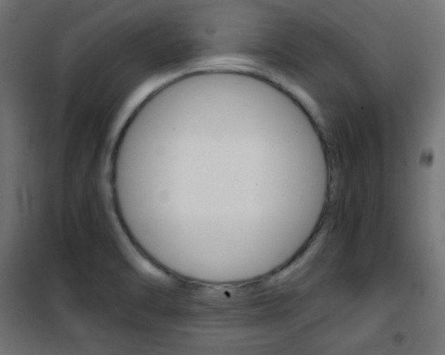 X0000101391470200807070953