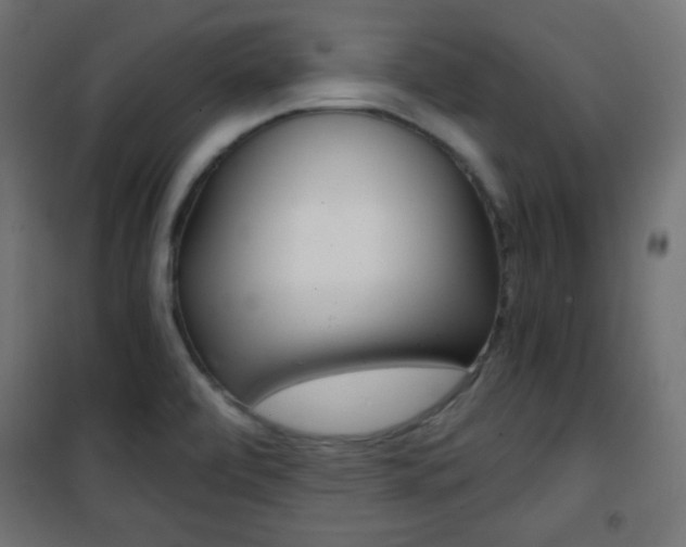 X0000101391472200807070953