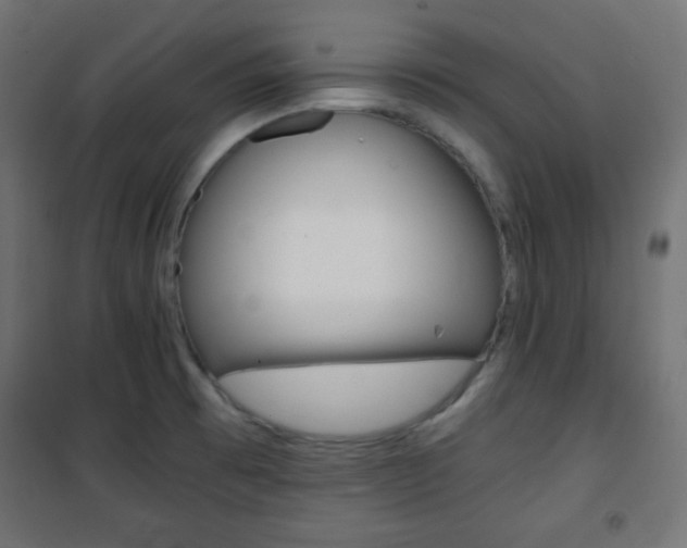 X0000101391473200807070953