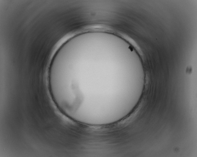 X0000101391474200807070953
