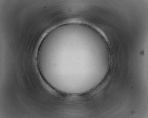 X0000101391475200807070953