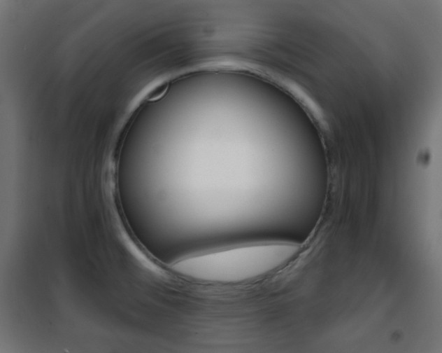X0000101391476200807070953