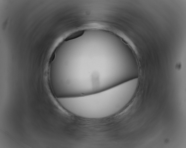 X0000101391477200807070953