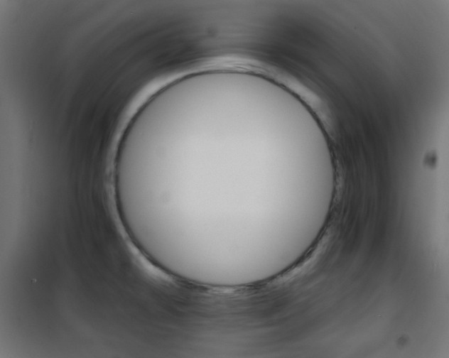 X0000101391478200807070953