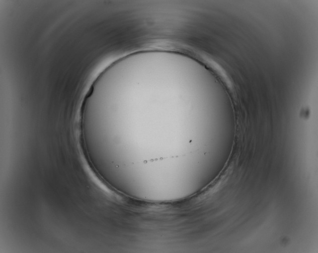 X0000101391479200807070953