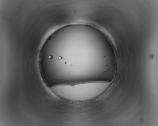 X0000101391480200807070953