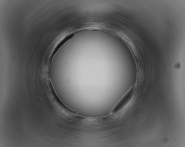 X0000101391481200807070953