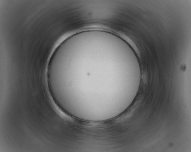 X0000101391482200807070953