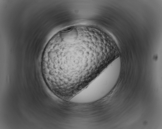 X0000101391483200807070953