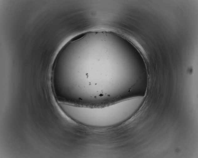 X0000101391484200807070953