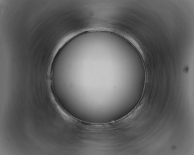 X0000101391485200807070953