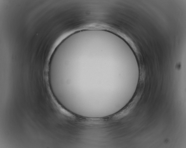 X0000101391486200807070953