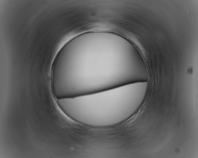 X0000101391487200807070953