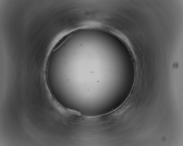 X0000101391488200807070953