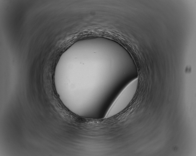 X0000101391489200807070952