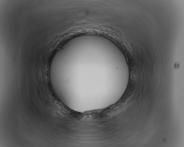 X0000101391490200807070952