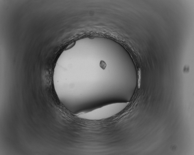 X0000101391491200807070952