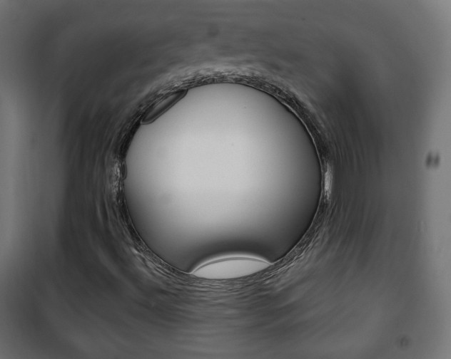 X0000101391492200807070952