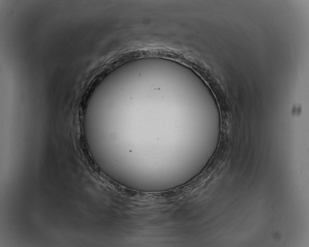 X0000101391493200807070952