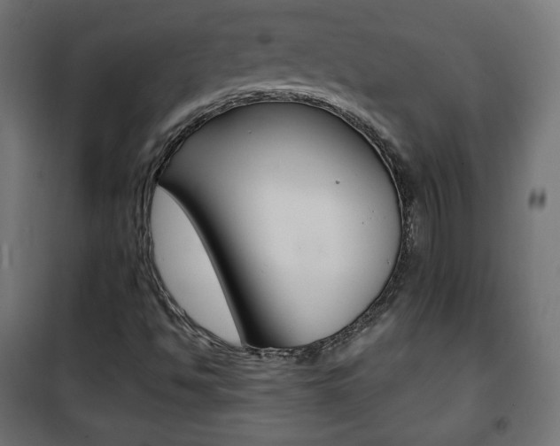 X0000101391494200807070952
