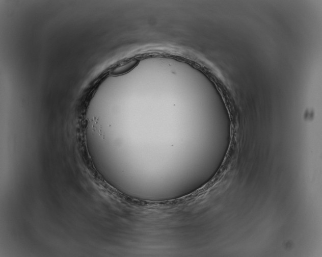 X0000101391496200807070952