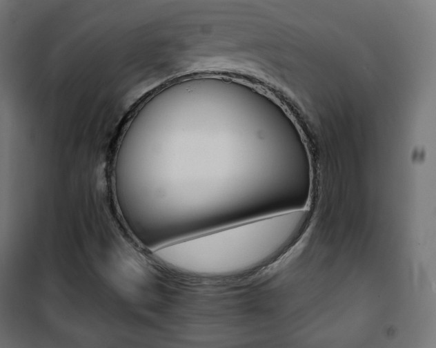 X0000101391497200807070952
