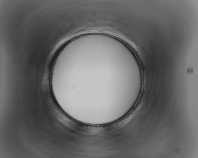 X0000101391498200807070952
