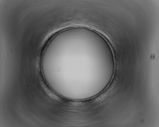 X0000101391499200807070952