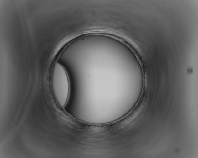 X0000101391501200807070952