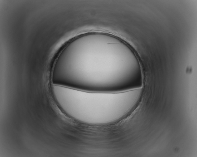 X0000101391503200807070952