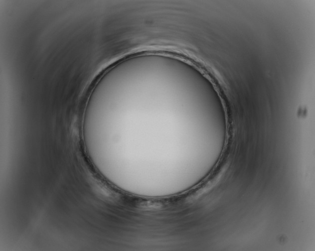 X0000101391505200807070953