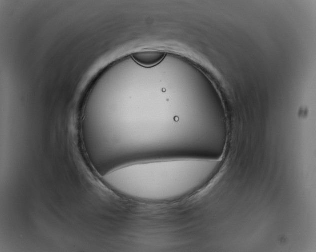 X0000101391506200807070953